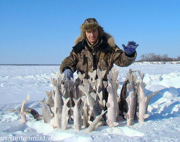 Рыбалка в Масново-Жуково: отчеты, фото и отзывы