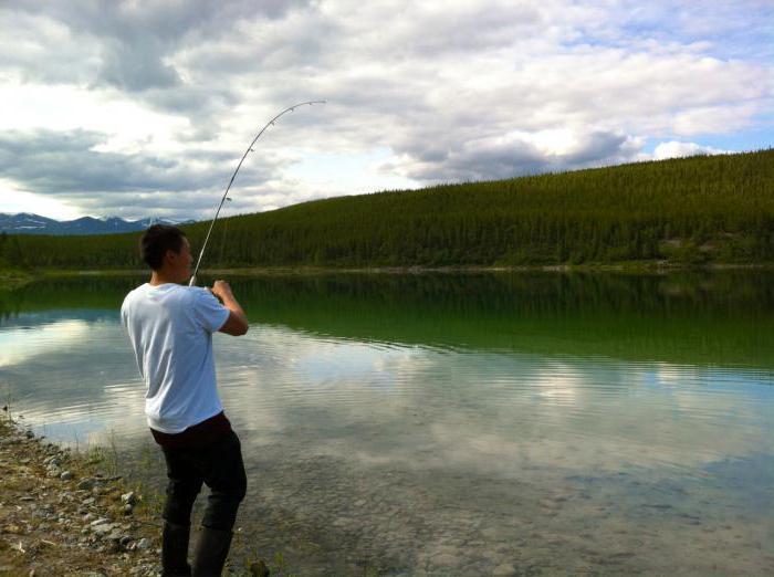 Рыбалка в Алматинской области: места и разновидности рыбы
