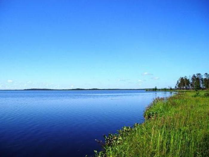 Рыбалка на озере Вялье: фото и отзывы. Чем примечательно Вялье - озеро в Ленинградской области?