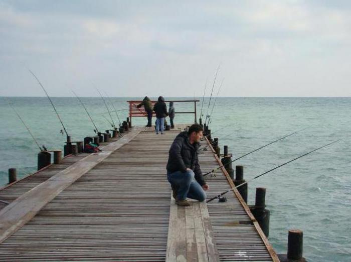 Рыбалка в Анапе: отзывы. Морская рыбалка с берега
