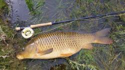 Рыбалка в Удмуртии для любителей активного отдыха
